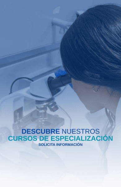 Grados en Gran Canaria