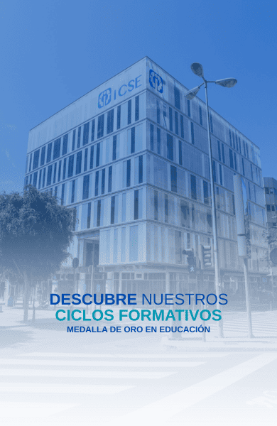 Formación profesional